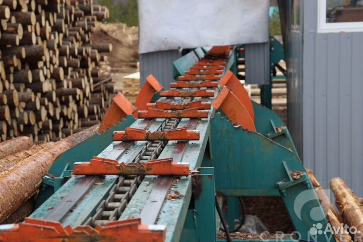 Линия сортировки круглого леса