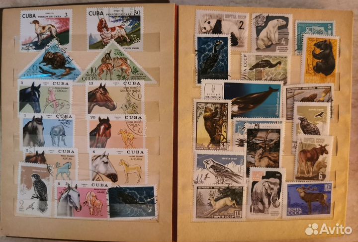 Почтовые марки СССР и иностранные Животные