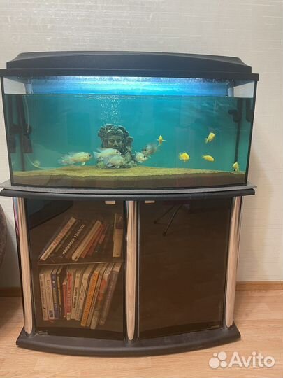 Аквариум