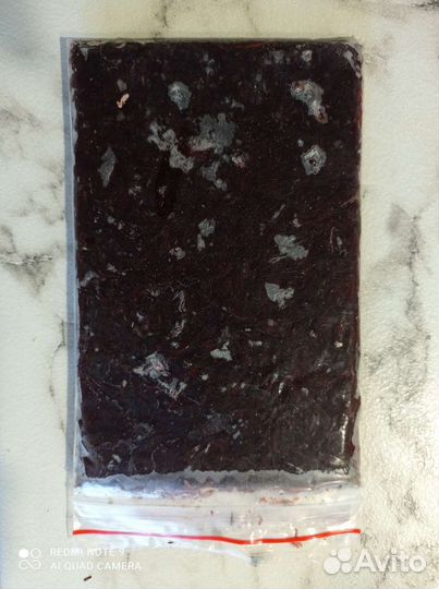 Мотыль замороженный