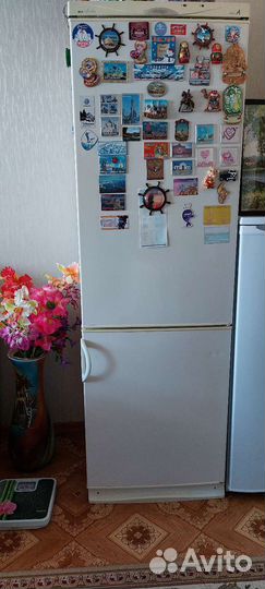 Snaige двухкамерный