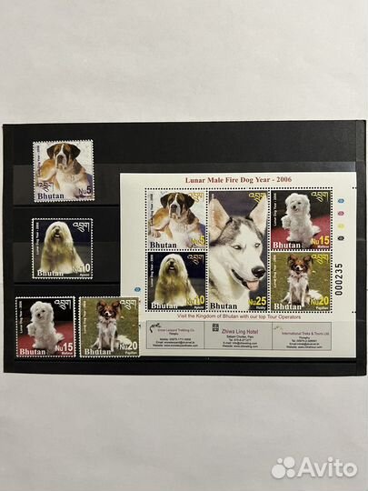 2006 г. Бутан. Фауна