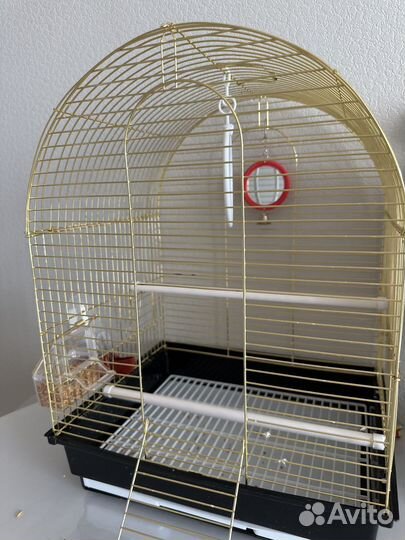 Волнистый попугай с клеткой