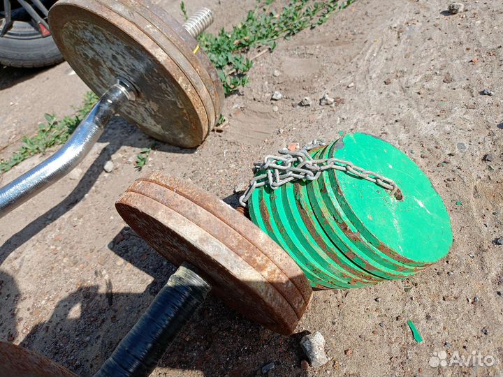 Штанга с блинами