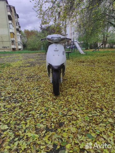 Suzuki zz inch up sport