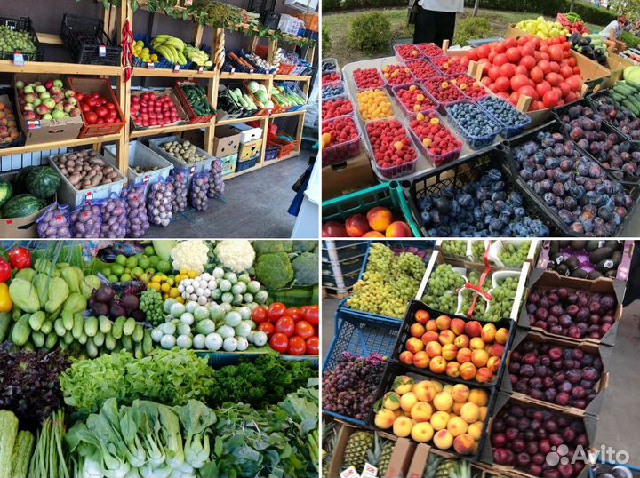Фрукты и овощи оптом с доставкой