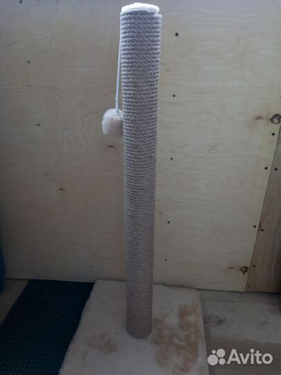 Когтеточка