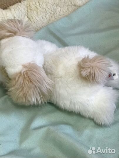 Милая собачка