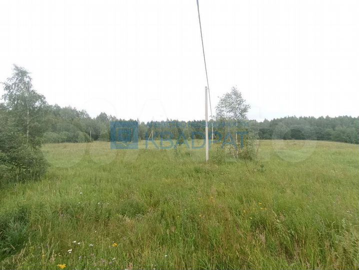 Участок 16,3 сот. (СНТ, ДНП)