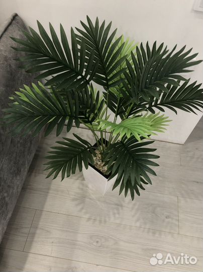 Искусственная пальма
