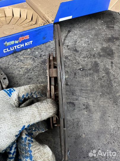 Сцеление на Газель