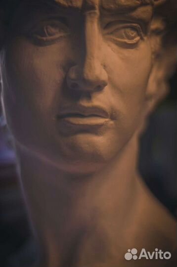 Бюст голова-кашпо Давида