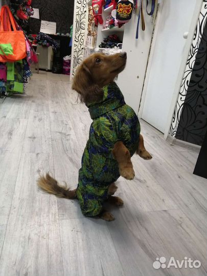 Дождевики для собак