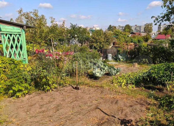 Участок 6,3 сот. (СНТ, ДНП)