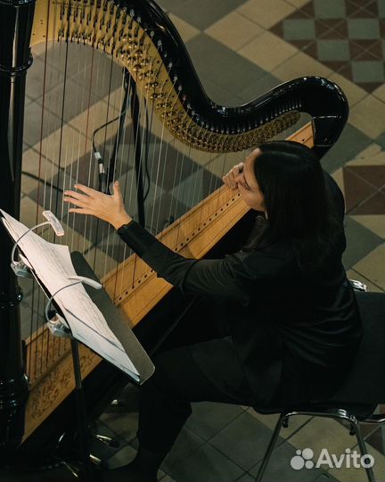 Уроки игры на арфе, репетитор по арфе