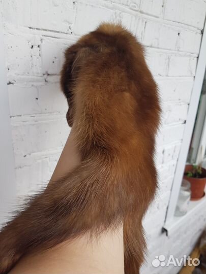 Шкура баргузинского соболя,старинная