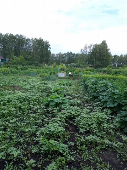 Участок 10 сот. (СНТ, ДНП)