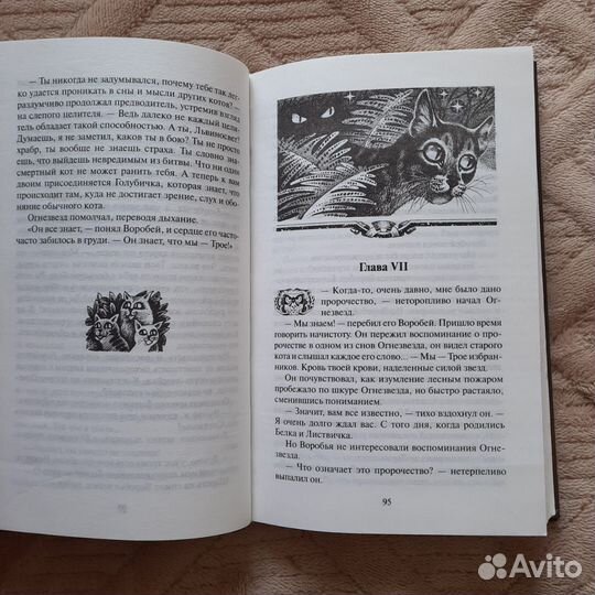 Книга Эрин Хантер. Коты-воители. Долгое эхо