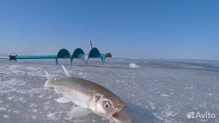 Ледобур складной, Барнаульский, Тонар (бур)