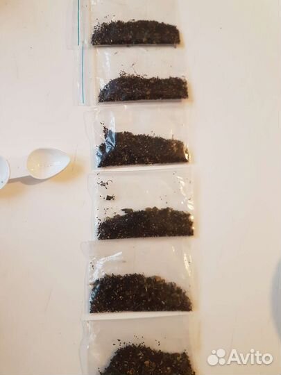 Семена цветы львиный зев, турецкая гвоздика