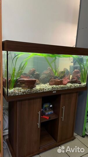 Аквариум Juwel бу