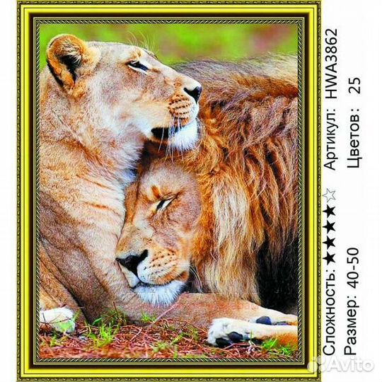 Алмазная мозаика 40x50 Львица и её царь