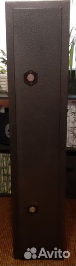 Оружейный сейф на 2 ствола