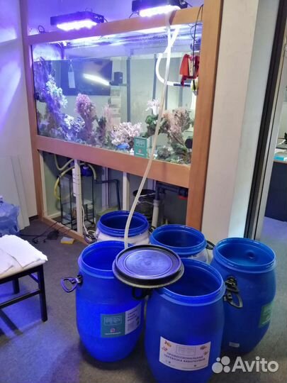 Перевозка морских аквариумов