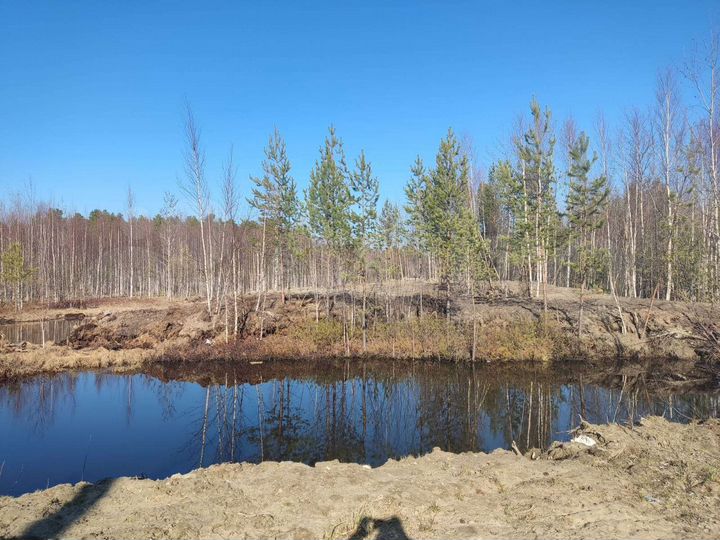 Участок 15 сот. (ИЖС)