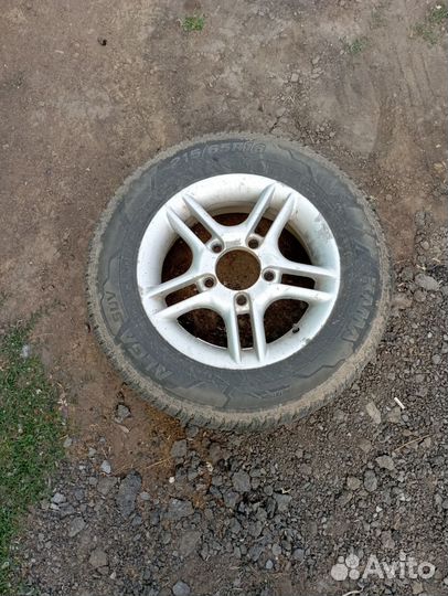 Лиски летье 16