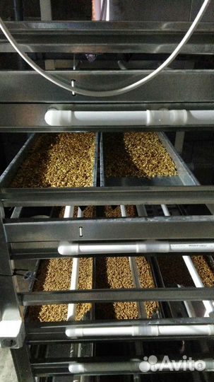 Гидропоный зеленый корм установка