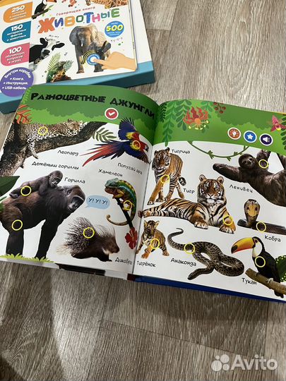 Книга нажималка животные