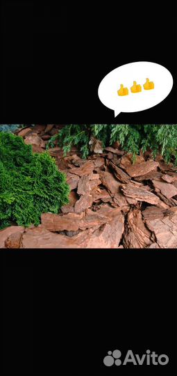 Сосновая кора мульча удобрение, декор, кора сосны