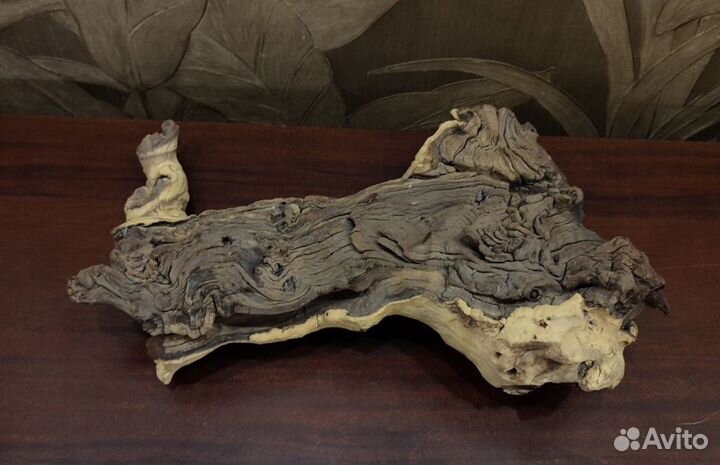 Мангровое дерево коряга в аквариум