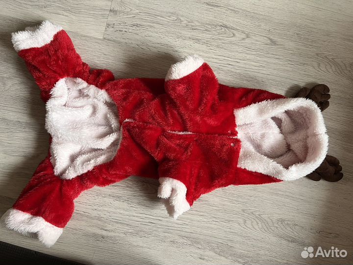 Костюм для собаки