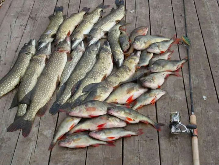 Участок 15 сот. (СНТ, ДНП)