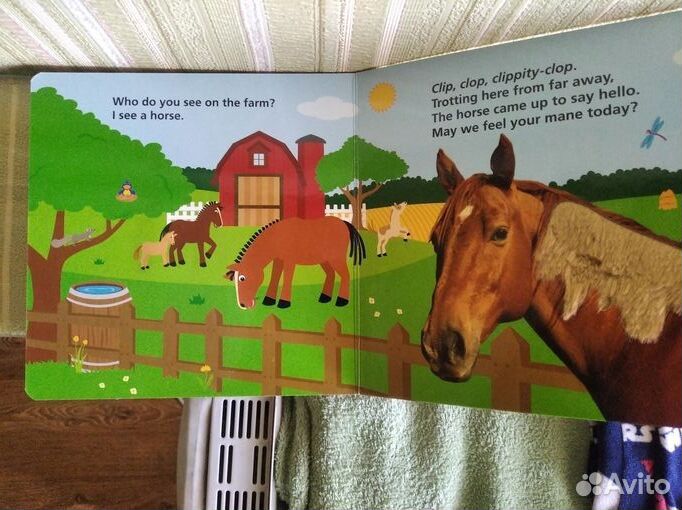 Touch and feel animals