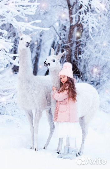 Заказ лошадей