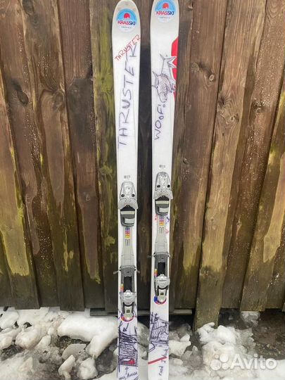 Горные лыжи Salomon Thruster
