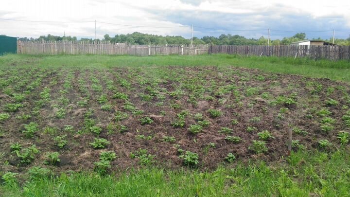 Участок 10 сот. (СНТ, ДНП)