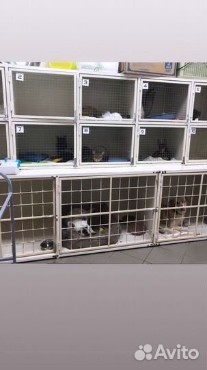 Ветеринарный врач Краснодар