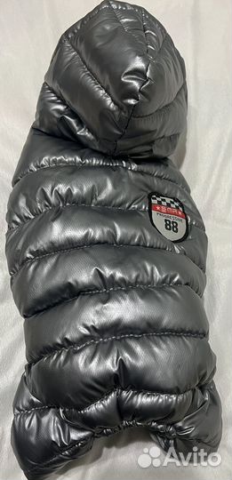 Одежда для собак мелких пород