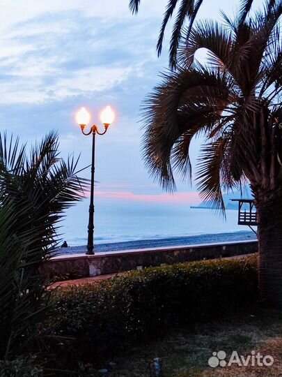 Экскурсии в Абхазию из Сочи и Адлера