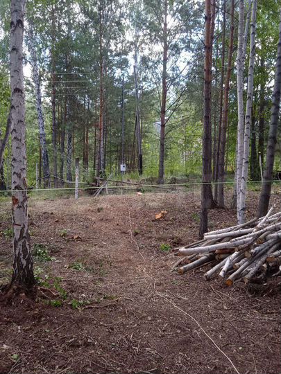 Участок 5,3 сот. (СНТ, ДНП)