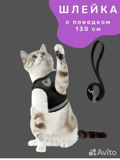 Шлейка для собак и кошек с поводком для прогулки