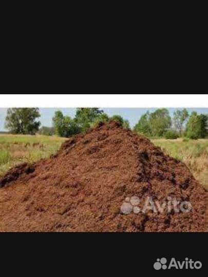 Перегной,навоз