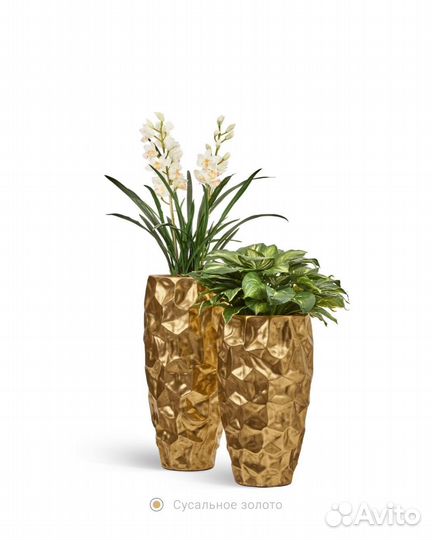 Растения. Деревья. Премиум кашпо, от