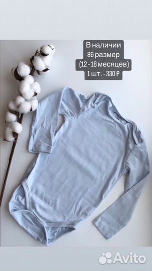 Боди