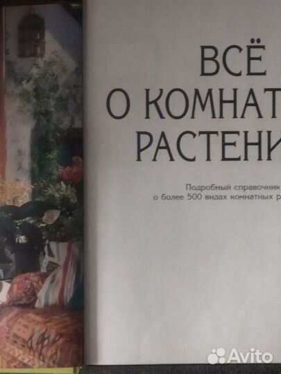 Всё о комнатных растениях. Энциклопедия