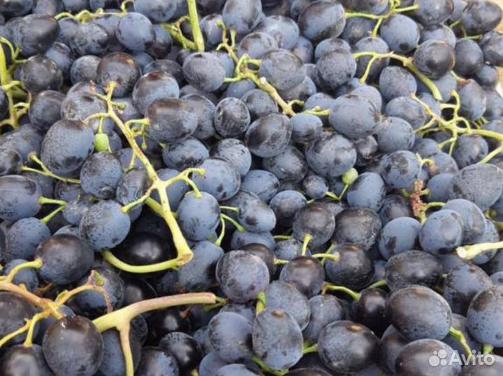 Фрукты и овощи оптом с доставкой